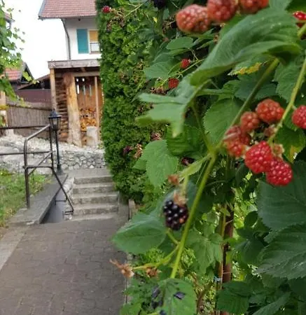 Διαμέρισμα Bosch